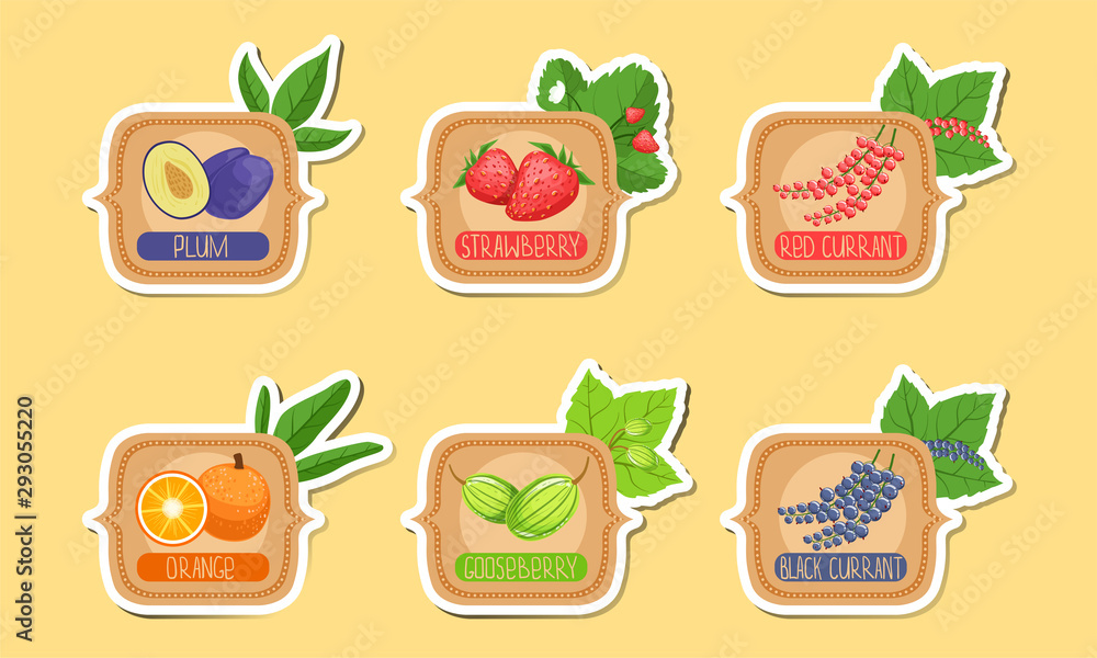 Homemade Jam Labels Set, Plum, Strawberry, Red Currant, Orange, Gooseberry, Black Currant Stickers Vector Illustration