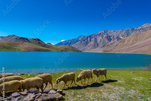 great lakes in the himalayas photo