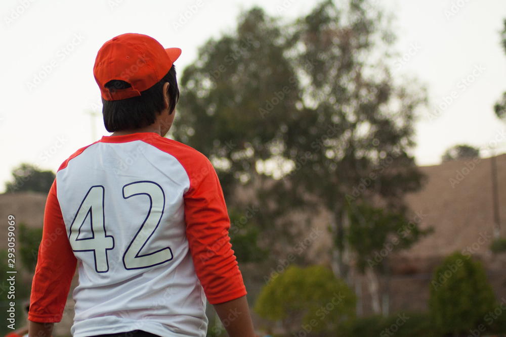 Fototapeta premium baseball