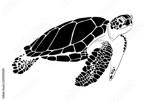 Fotografia graphic sea turtle,vector illustration of sea turtle
