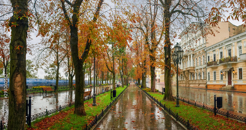 Fotografering City boulevard in rainy autumn day