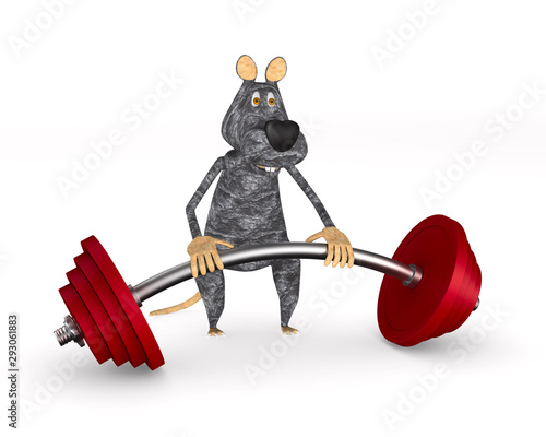 rat with barbell on white b...