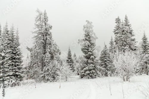 Winter landscape. Taganay national Park  Chelyabinsk region  South Ural  Russia