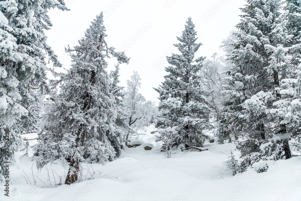 Fototapeta premium Winter landscape. Taganay national Park, Chelyabinsk region, South Ural, Russia