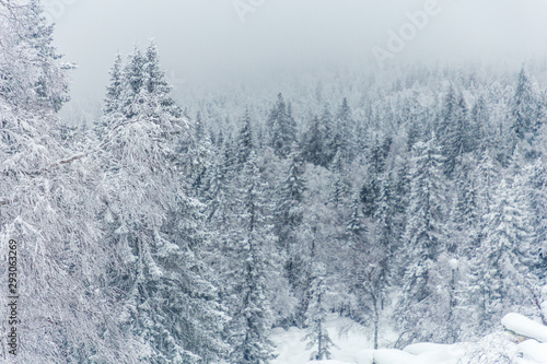 Winter landscape. Taganay national Park, Chelyabinsk region, South Ural, Russia © Anton Buymov