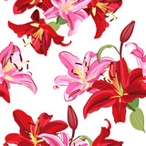 Lily flower seamless pattern on white background, Pink and Red lily floral vector illustration