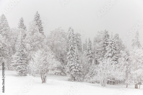 Wallpaper Mural Winter landscape. Taganay national Park, Chelyabinsk region, South Ural, Russia Torontodigital.ca