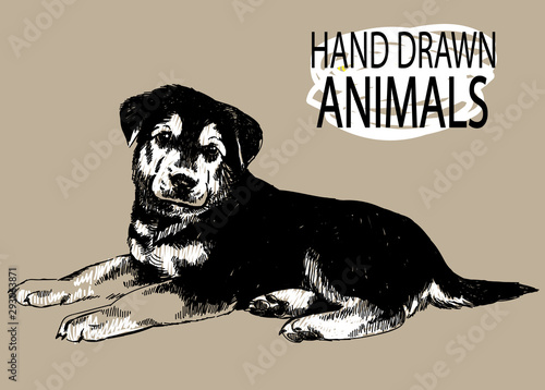 Cute German Shepherd puppy is lying on his stomach. Drawing by hand with a pencil. Dog.
