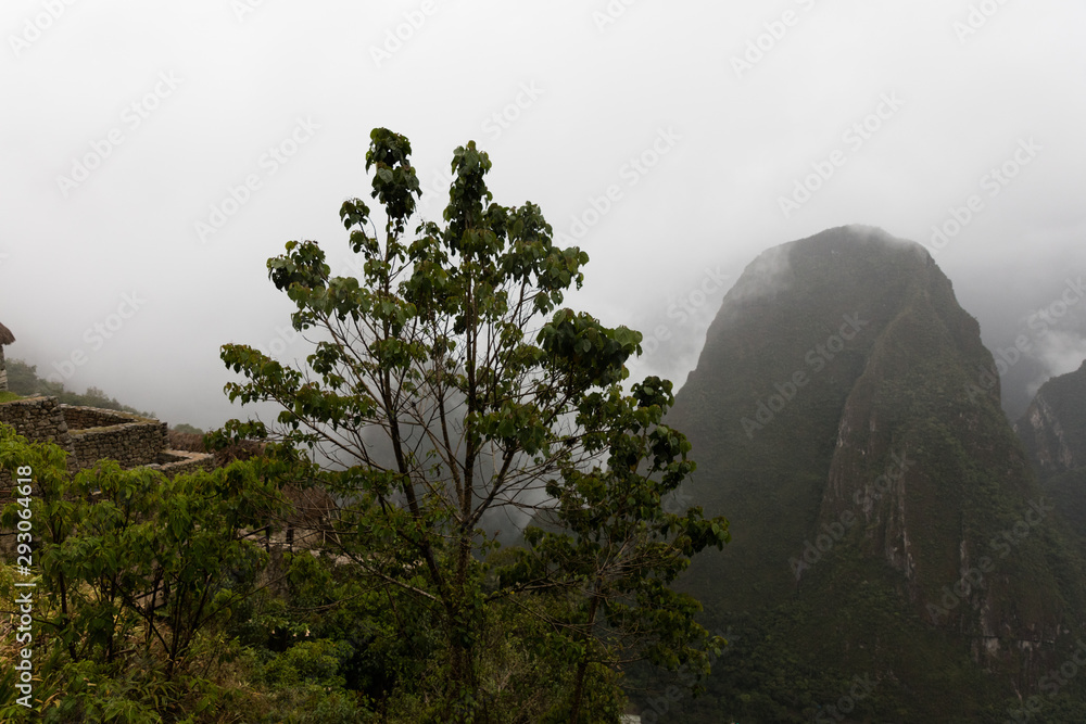 Obraz premium Machu Picchu , Peru,