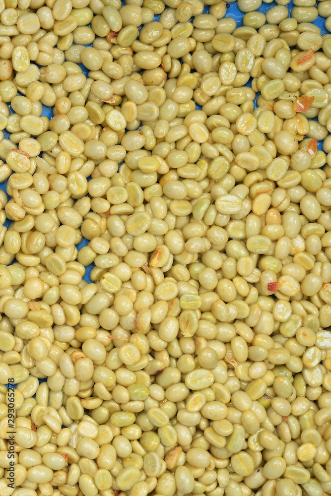 Coffee beans,In the ferment and wash method of wet processing Coffee beans,In the ferment and wash method of wet processing