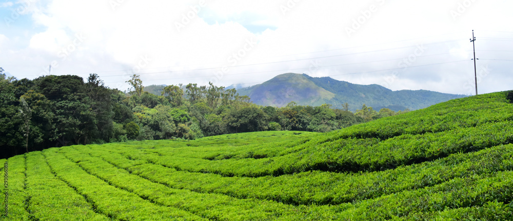 Munnar Munnar