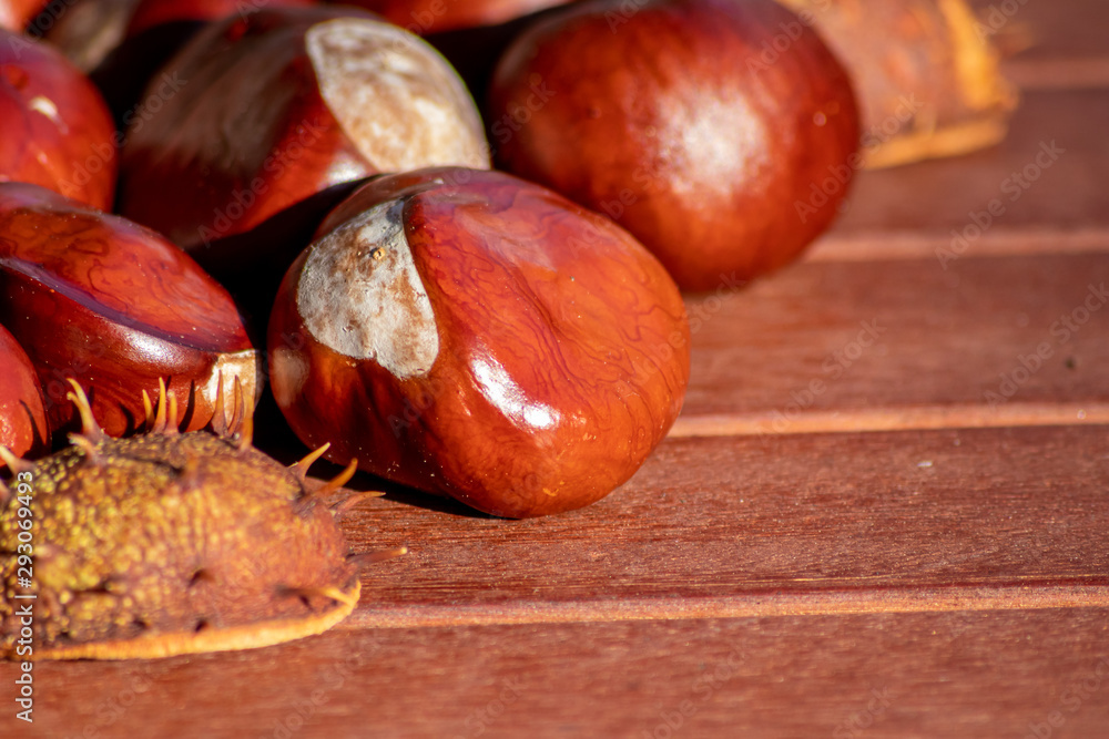 Ein frischer Haufen schöner Kastanien liegt auf einem braunen Tisch bereit zum kreativen Basteln mit Kindern im Herbst und Winter Ein frischer Haufen schöner Kastanien liegt auf einem braunen Tisch bereit zum kreativen Basteln mit Kindern im Herbst und Winter