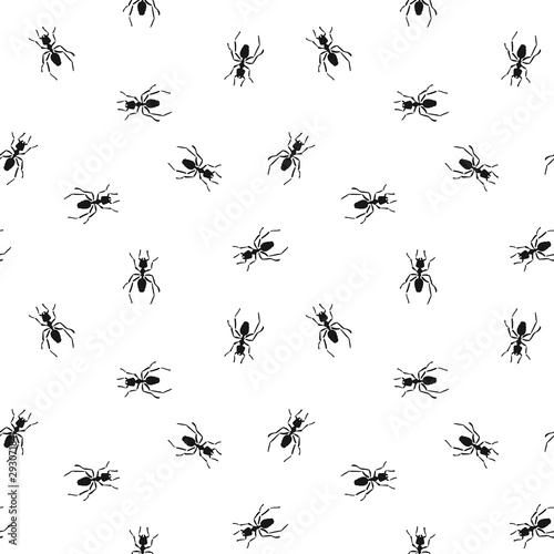 Seamless pattern with ants. Endless ornament with ants on white backdrop © Shiffarigum