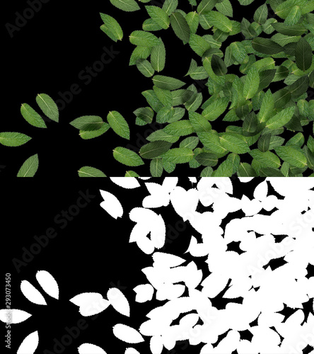 3D illustration of a mint leaves flow with alpha layer