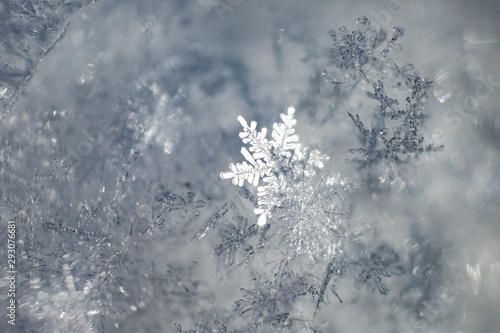 Macro close up from a snowflake in natural surroundings