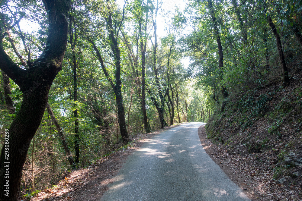 Fototapeta premium The way of the ter by Masnou in Catalonia