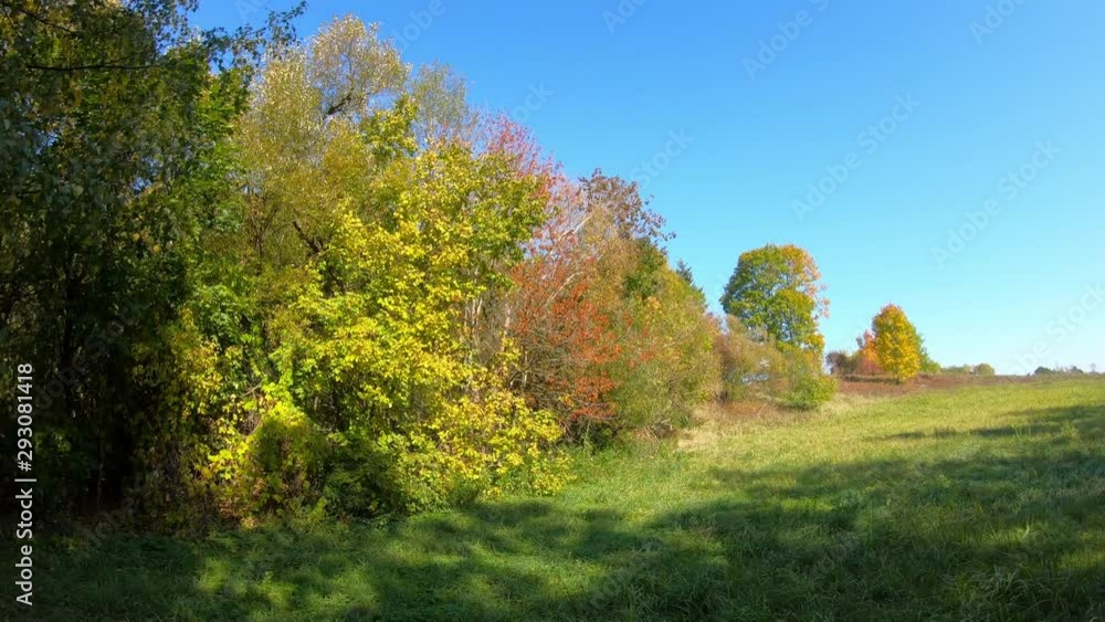 Multicolored Nature On A Sunny Autumn Day. Multicolored Nature On A Sunny Autumn Day.