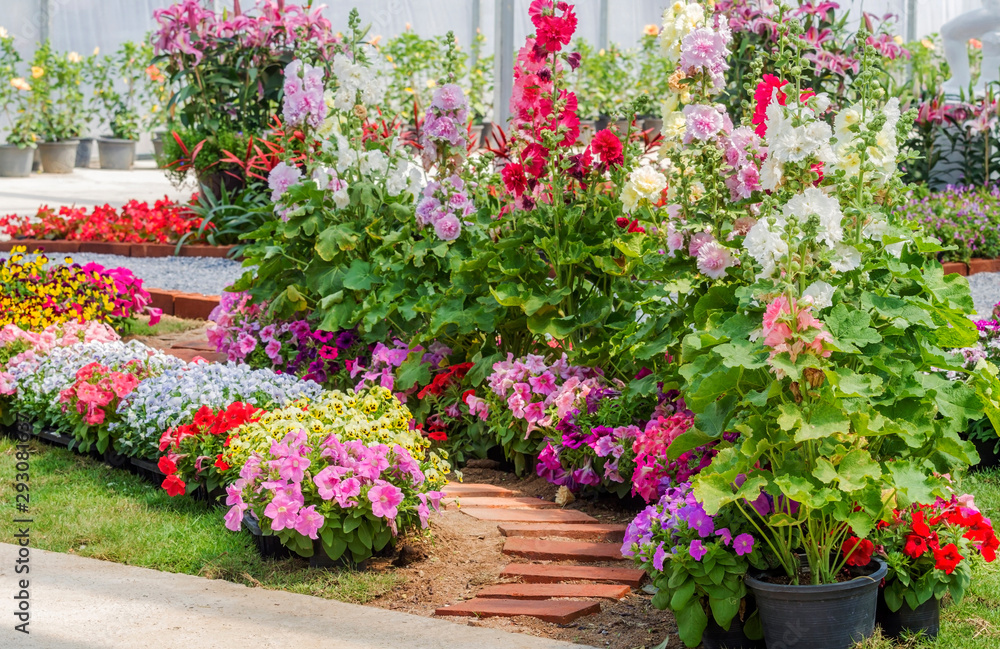 Brick walkway with beautiful flowers on side in flower garden Brick walkway with beautiful flowers on side in flower garden