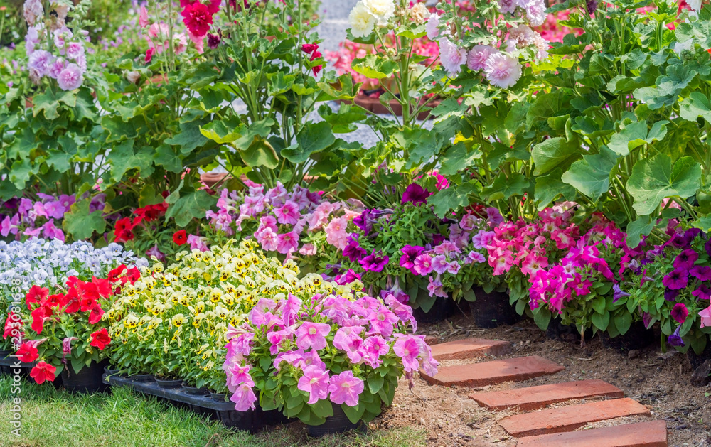 Brick walkway with beautiful flowers on side in flower garden