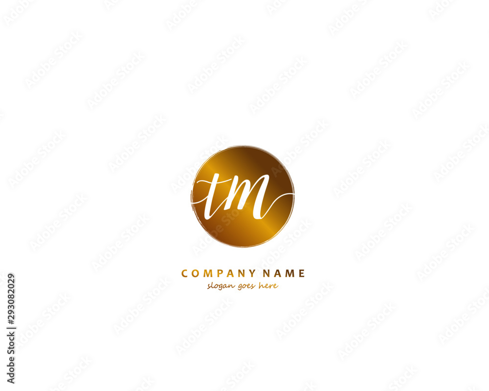 TM Initial handwriting logo vector