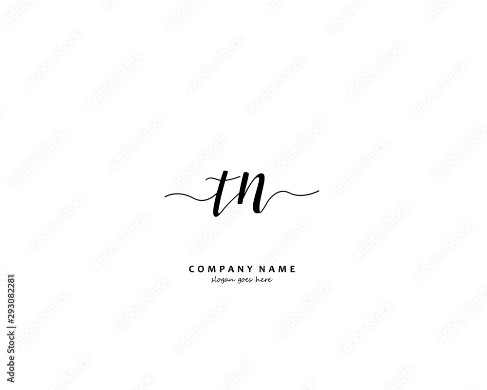 TN Initial handwriting logo vector