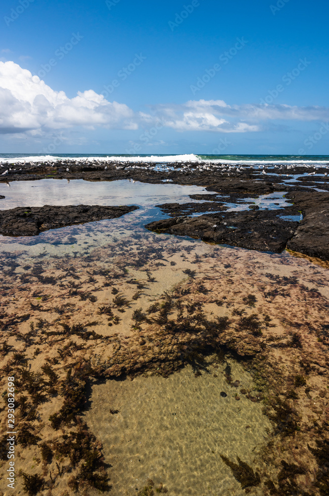 Tidal rock pools at Flat Rock