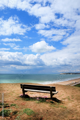 wooden bench on a cliff edge over looking Seaford Beach, East Sussex, UK, a sweeping pebble beac h with a striling blue and white sky behind for copy space