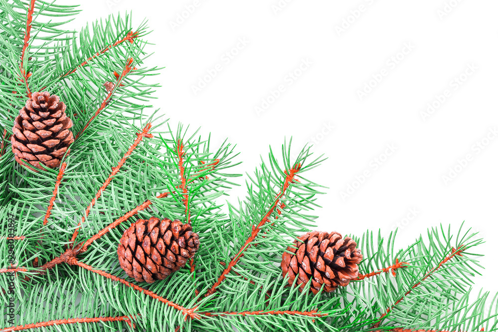 Flat lay composition of bright green lush Christmas tree branches with beautiful pine cones in the corner of the picture with an empty place for text isolated on a white background. 