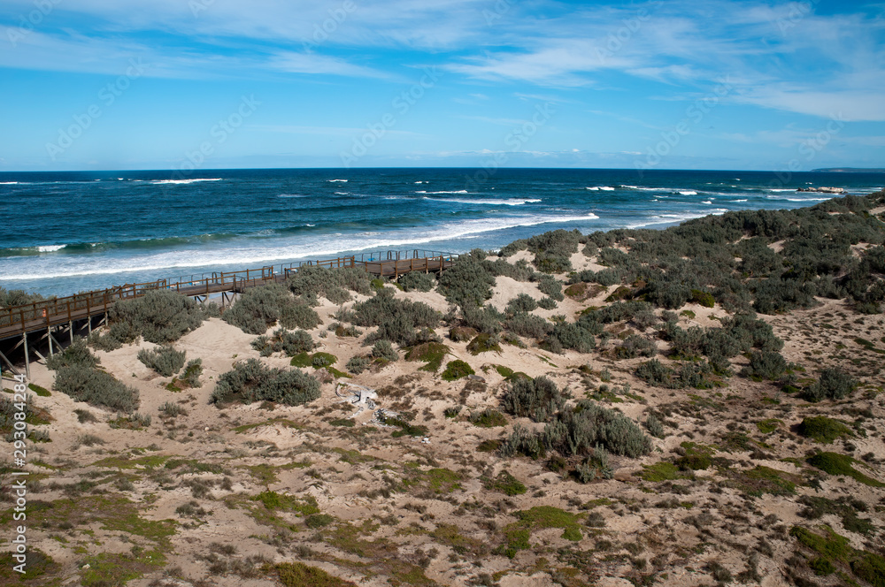 Kangaroo Island Australia, panorama of Seal Bay with boardwalk and humpback whale skeleton in sand dune