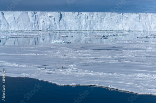 Iceberg Ross Sea Antartica