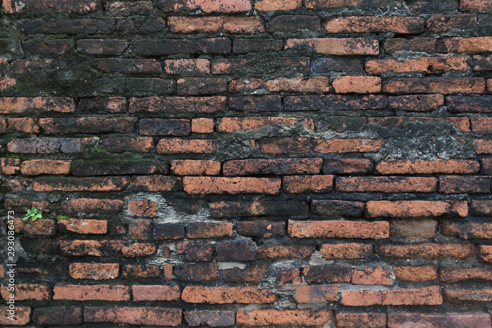 Naklejka premium Old vintage brick wall and floor for pattern and background