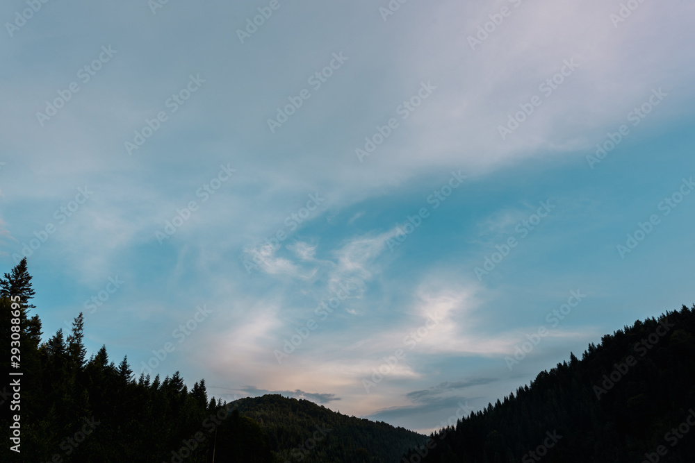 evening sky with clouds near trees in woods evening sky with clouds near trees in woods
