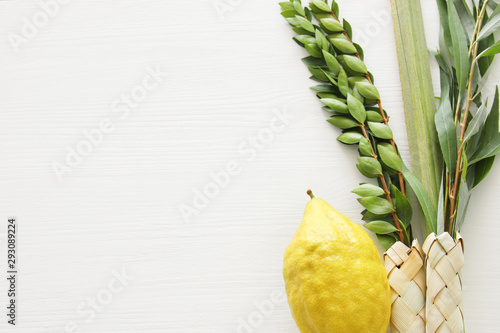 religion image of Jewish festival of Sukkot. Traditional symbols (The four species): Etrog, lulav, hadas, arava photo