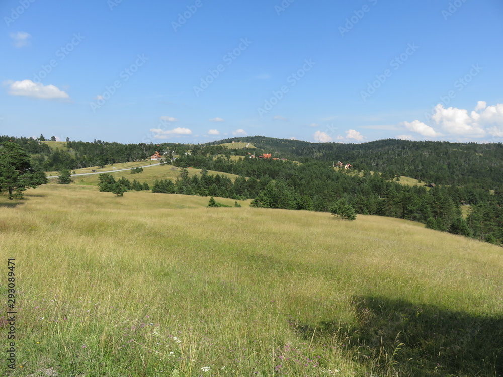 Green mountain pasture as ideal place for hiking Green mountain pasture as ideal place for hiking