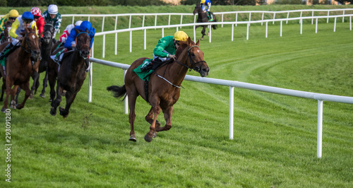 Race horse and jockey taking the lead in a race on the finel furlongs