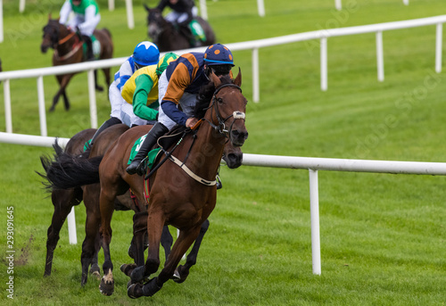 Race horses and jockeys competing for position on the final furlongs