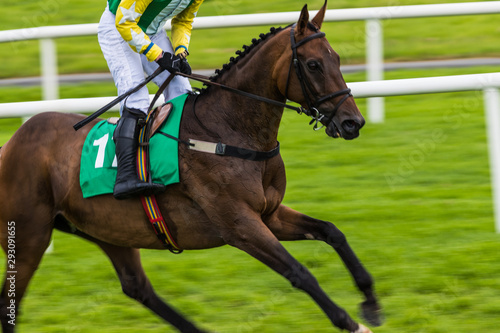 Close-up on racing horse and jockey, fast motion blur effect