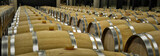 Red wine barrels in Ribera del Duero winery. Red wine in Spain. 