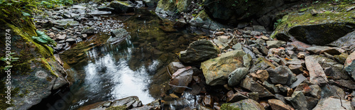 panoramic shot of green mold on stones near river