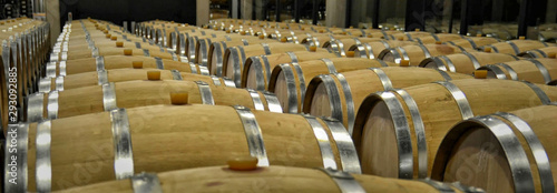 Bild auf Leinwand Red wine barrels in Ribera del Duero winery. Red wine in Spain.