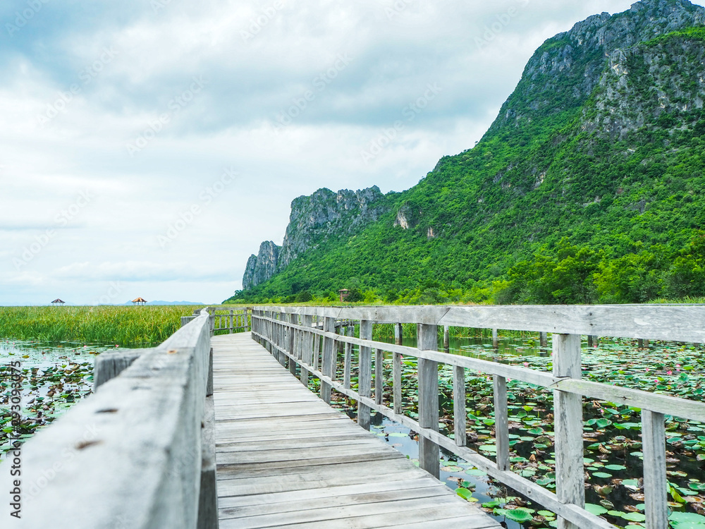 The wooden bridge pathway in the lotus field The wooden bridge pathway in the lotus field