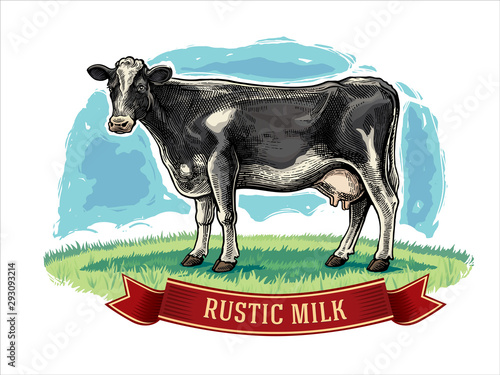 Cow drawn in a graphic style on a meadow with design elements for label.