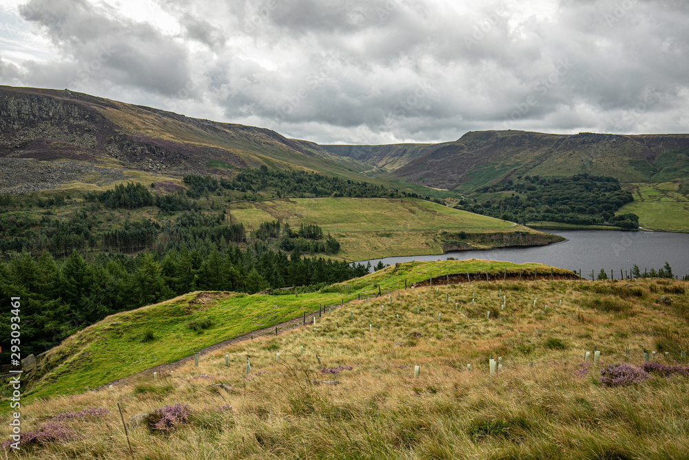 Lancashire landscape #1