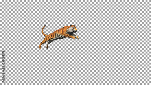 Bengal tiger jump pose between cliff realistic with 3D animation rendering include alpha.