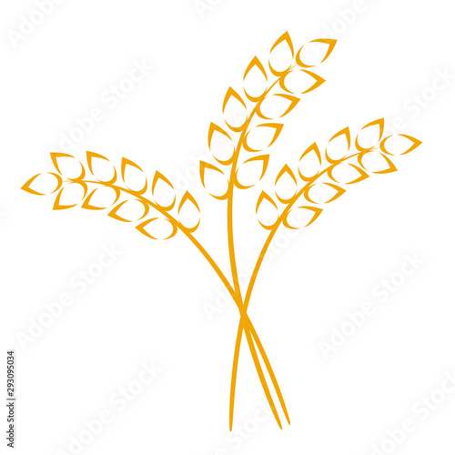 Wheat or barley ears. Harvest wheat grain, growth rice stalk and whole bread grains or field cereal nutritious rye grained agriculture products ear symbol. Isolated vector icon