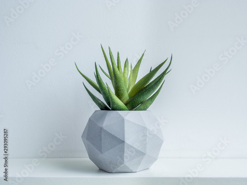 Fotografia Concrete pot