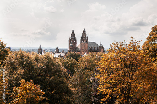 Foliage in Glasgow