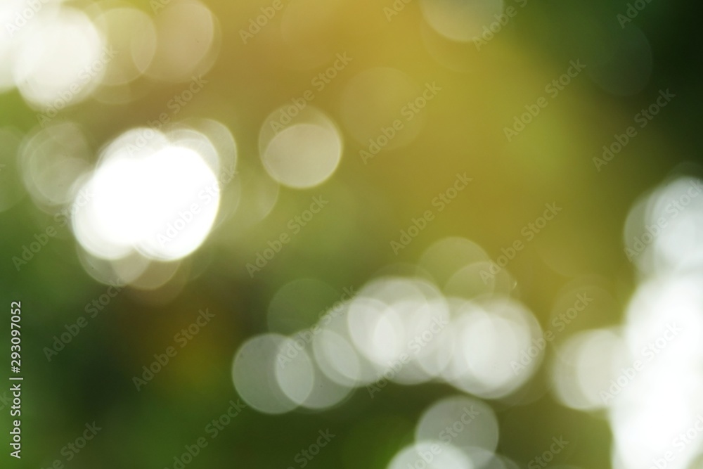 Obraz premium Beautiful nature green bokeh sunshine abstract blurred background, Motion of green bokeh from sunlight shining through the leaves of the trees in the park. Blur motion background.