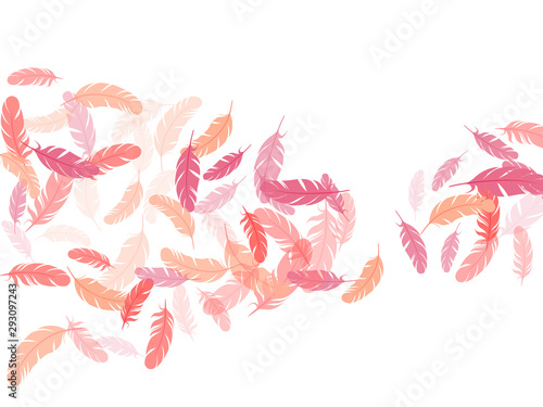 Falling feather elements soft vector design.