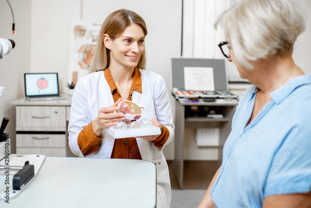 Obraz premium Female ophthalmologist showing the eye model to a senior patient during a medical consultation in the ophthalmologic office